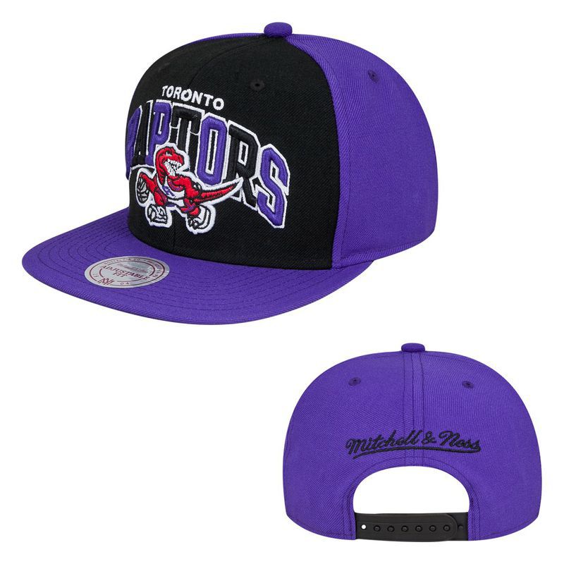 Toronto Raptors NBA Snapback Hat SD